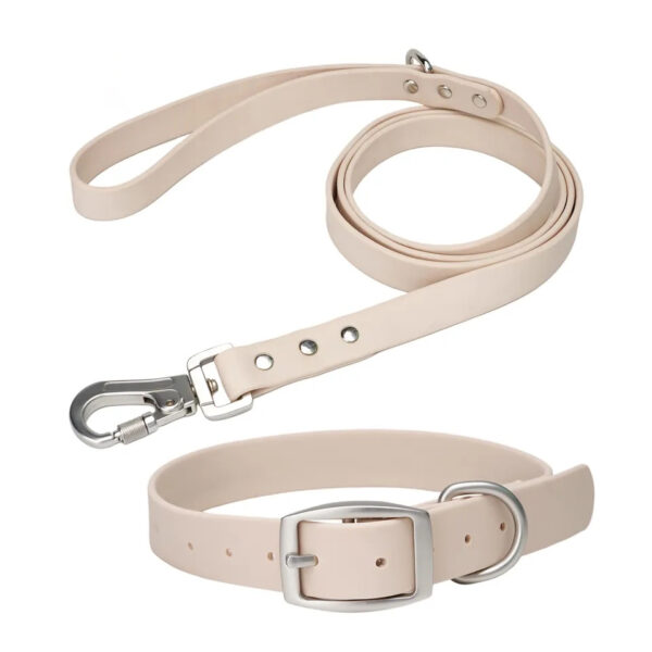 silicone collar and leash